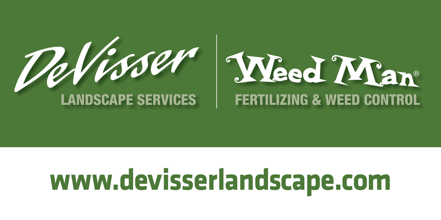 DeVisser logo