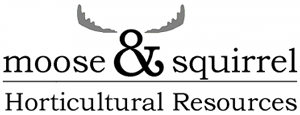 Moose and Squirrel logo