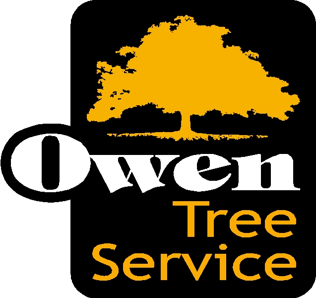 Owen Tree logo