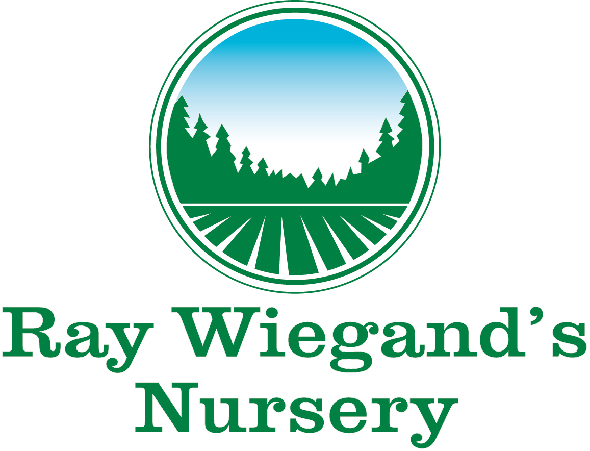 Ray Wiegand's logo