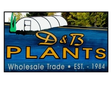 D & B Plants Logo