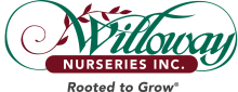 Willoway Nurseries Inc. logo