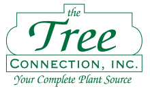 The Tree Connnection logo